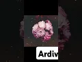 Download Lagu #music #perfect #edsheeran #ardiva #song #love #acoustic #cover #ardiva #happy #west #western