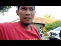 Download Lagu KEDATANGAN Nyai -Nyai.dari Pon - Pes.Babakan Ciwaringin Cirebon.