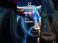 3 Types of Taurus Zodiac Signs