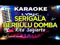 Download Lagu Serigala Berbulu Domba Karaoke Tanpa Vokal