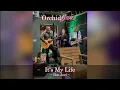 Lagu It's My Life (Runaway) - Bon Jovi - Cover by Orchid Jane