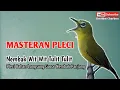 Download Lagu MASTERAN PLECI||NEMBAK WIT WIT TULIT TULIT||Pleci Bahan Langsung Gacor Nembak Panjang