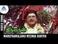Lagu Thiruvarul Tamil Movie Songs | Maruthamalaiku Neenga Video Song | AVM Rajan | Pyramid Glitz Music