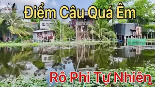 c u c r phi t nhi n i m c u n y qu p