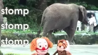 Let S Go To The Zoo Animal Song For Kids 