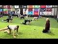 Table pose leg extended fully horizontal - trace entire alphabet with toe both legs