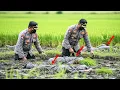 Lagu KEDIRI MENCEKAM‼️ Puluhan Mayat Ditemukan di Sawah, Polisi Telusuri Jejak Kejahatan!