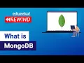 What is MongoDB MongoDB Tutorial For Beginners Learn MongoDB Edureka Rewind - 5