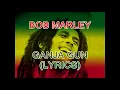 Download Lagu Bob Marley Ganja song