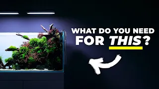 Watch This Before You Start Aquascaping