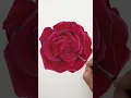 Download Lagu Painting of a vibrant red rose