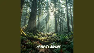nature s beauty