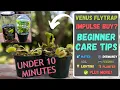 Total Venus Flytrap Care Under 10 Minutes - Wal-Mart Lowes Beginner Fly Trap Tips Updated 2024