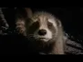 Download Lagu Guardians of the galaxy vol 3 “Creep” Opening scene
