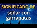 Que significa sonar con garrapatas Interpretacion de los Suenos