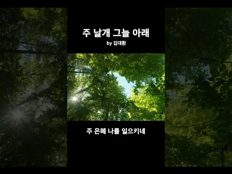 [Shorts] 주 날개 그늘아래 by 김대환