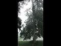 Lightning strikes in Fort Wayne West State Street