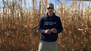 In the Field with Ag Valley Agronomy Planning for Next Year