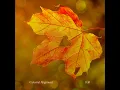 Fall