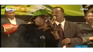 النور الجيلاني كدراوية  النور الجيلاني كدراوية