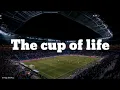 Download Lagu The cup of life Song by Ricky Martin song lyrics video