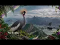 Gabrielzinho, Vitor Limma - Plano B (Letra/Lyrics)