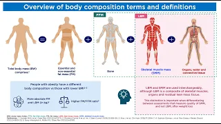 มวลไขมัน หรือ Fat mass คืออะไร และประกอบด้วยส่วนใดบ้างในร่างกาย