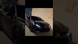 ايباه مسرعه دمر هالروح المسكينه            دندنها