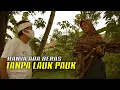 Download Lagu NURHAYATI GADIS 16 TAHUN MENGAMBIL KAYU BAKAR SAAT HUJAN-MASAK SORE HANYA ADA BERAS TANPA APAPUN