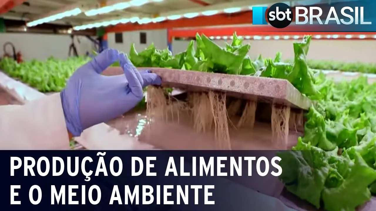 COP28 planeja mudar sistema de produção de alimentos | SBT Brasil (29/11/23)