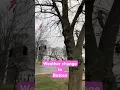Weather in Boston Is cold again