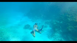 Discovering Barbuda before Developers Ruin It – Ep. 81