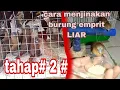 Download Lagu cara menjinakan burung empril liar bagian#2 @masaricitayam9690