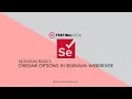 Essential Chrome Options in Selenium WebDriver Automate with Selenium