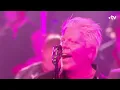 The Offspring / Shaka Ponk "Pretty Fly (For A White Guy)" (2021)