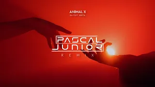 Animal X - Sa Pot Ierta (Pascal Junior Remix)
