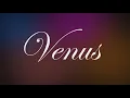 Venus We Make Movies Here