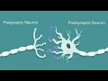Understanding EEG Part 1