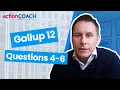 Gallup 12 - Questions 4-6