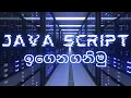 let s learn java script 11 sinhala web designing Html Scripting language JavaScript