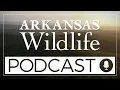 Arkansas Wildlife Podcast Ep 98 Understanding the Human Factor Social Science in Conservation