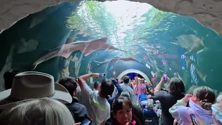 Dallas World Aquarium Tour Food Prices