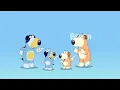 Bluey But Its Brian From Family Guy