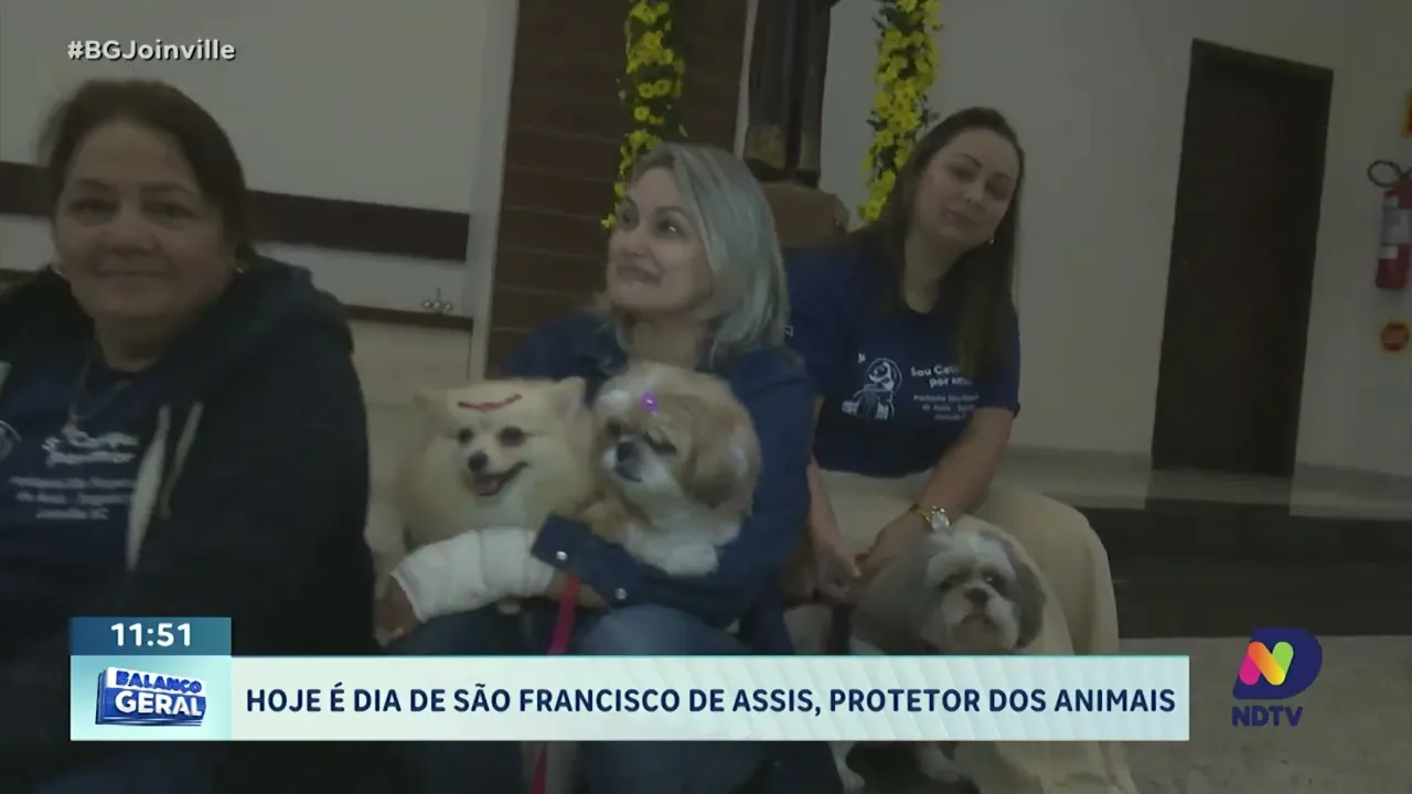 Hoje é dia de São Francisco de Assis, protetor dos animais