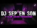 DJ SEP EN SON X ULAR SAWAH - Raka Remixer FT DZARIL FREAKOUT VIRAL TIKTOK MENGKANE
