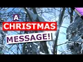 Lagu Christmas Greetings - an Inspirational Blessing Message for Friends \u0026 Loved Ones!