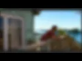 A Deep Dive into the GTA 6 Leaks What s Real and What s Not