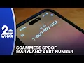 Scammers spoof Maryland s EBT number as new benefit cards arrive