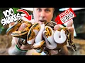 UNBOXING OVER 100 SNAKES BRIAN BARCZYK