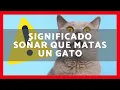 ▶️ WHAT DOES IT MEAN TO DREAM THAT YOU KILL A CAT 2023 ✅ MEANING OF DREAMING THAT YOU KILL A CAT